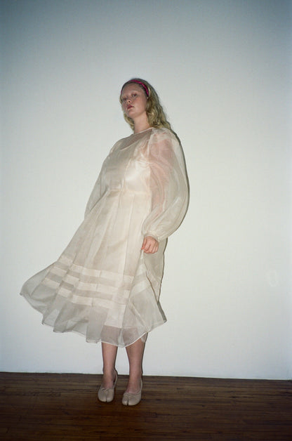 Joan Silk Organza Sheer Dress