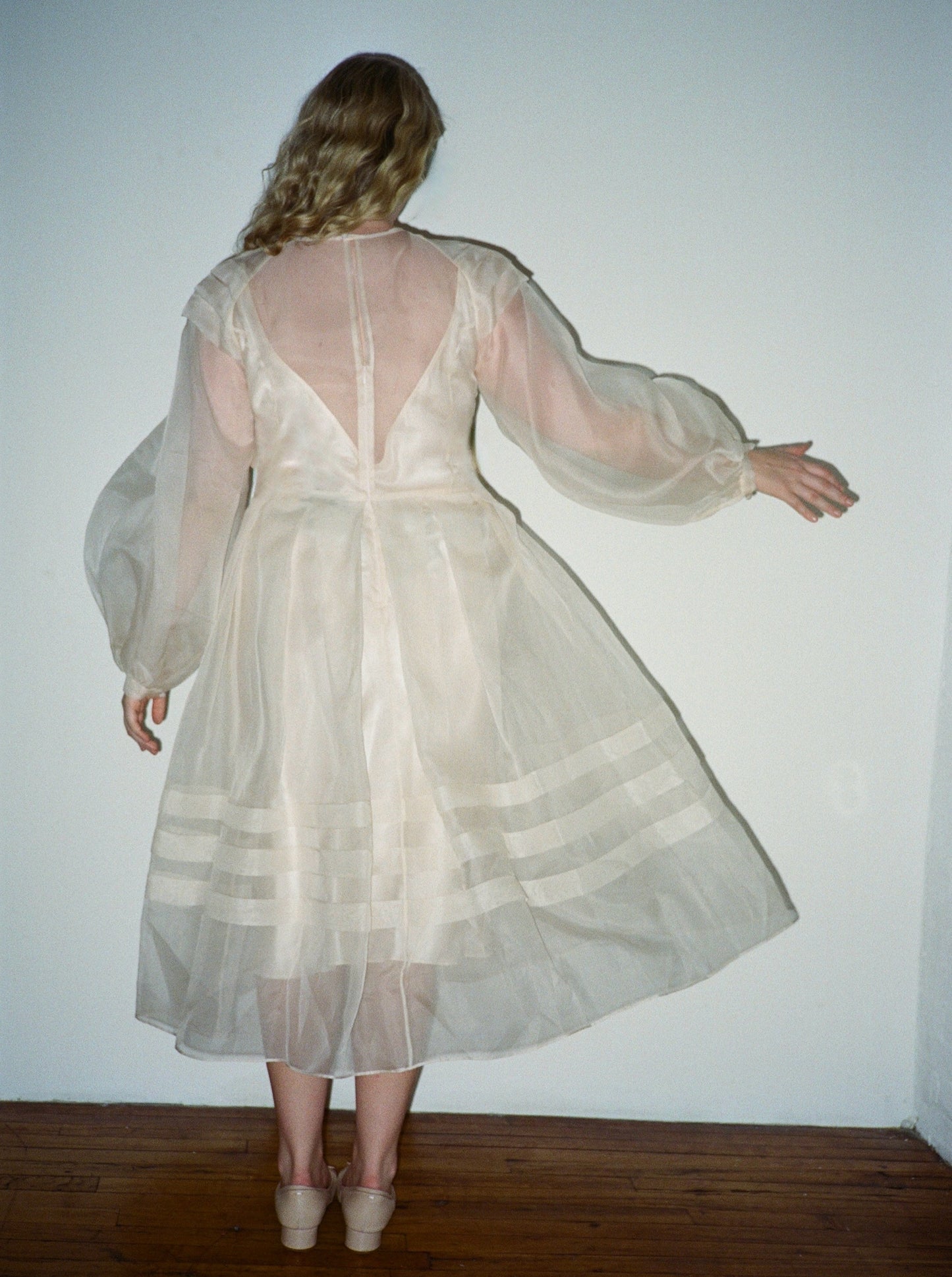 Joan Silk Organza Sheer Dress
