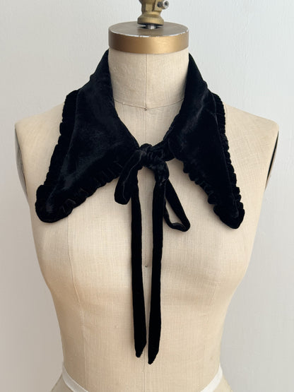 Winchester Velvet Collar